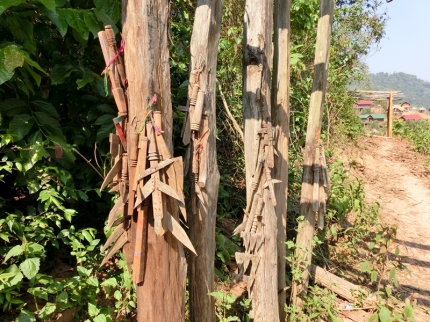 akha (64)
